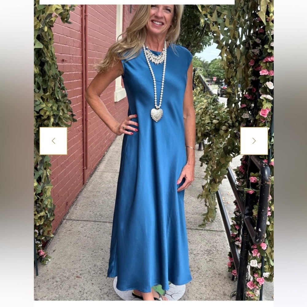Lysse Silvana Bias Cut Midi Dress Dress NWT
